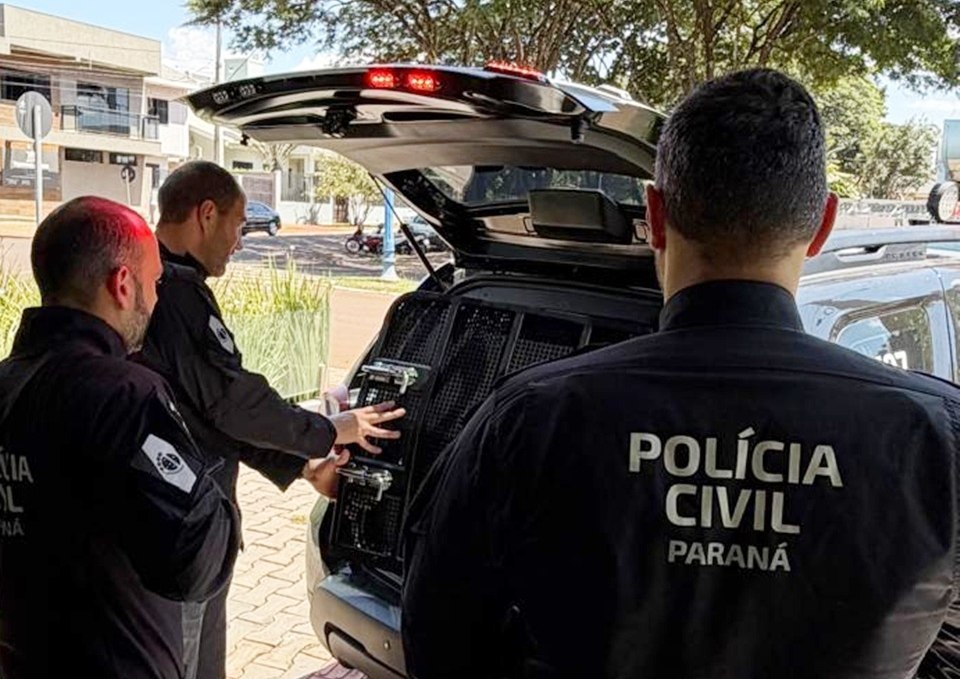 Operação Rota Interrompida: Delegacia de Mamborê desmonta célula de piratas do asfalto no Oeste paranaense